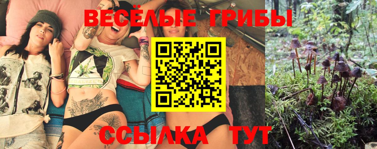 Галлюциногенные грибы Psilocybine cubensis Великий Устюг